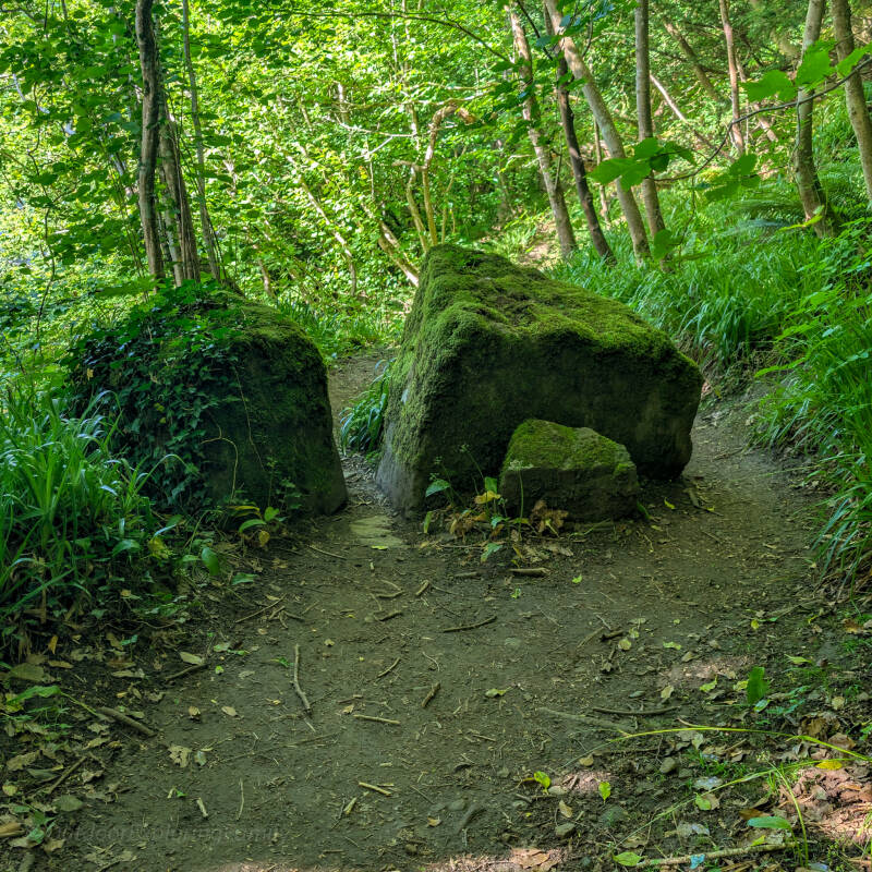 Moss covered Wishing Stones beside a woodland path near Barnard Castle.