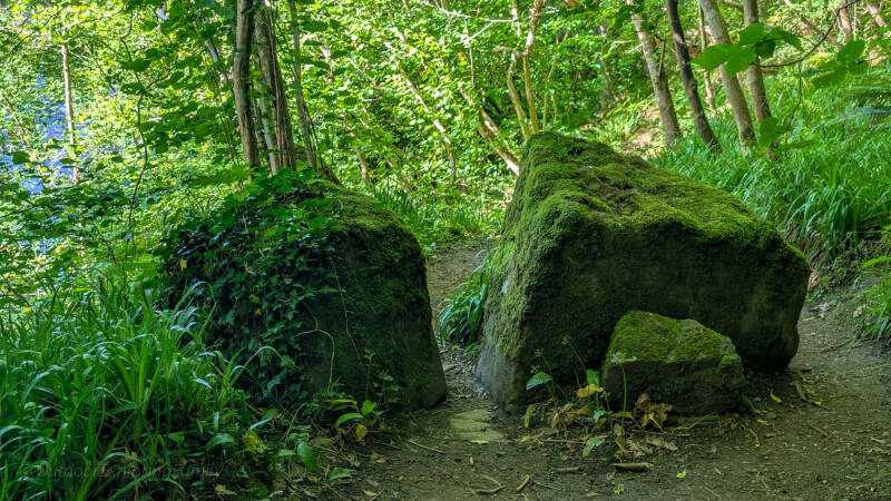 The Wishing Stones beside the old riverside path through Flatts Wood near Barnard Castle, where local folklore says walkers can make a wish.