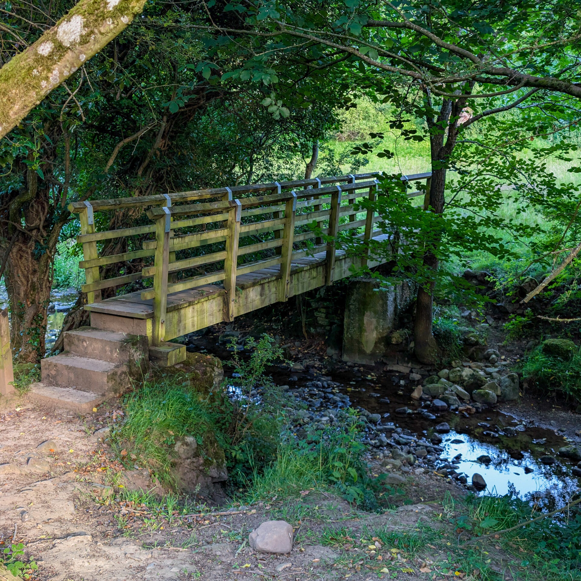 Wooden footbridge over Thorsgill Beck marking the entrance to Thorsgill Wood near Egglestone Abbey.
