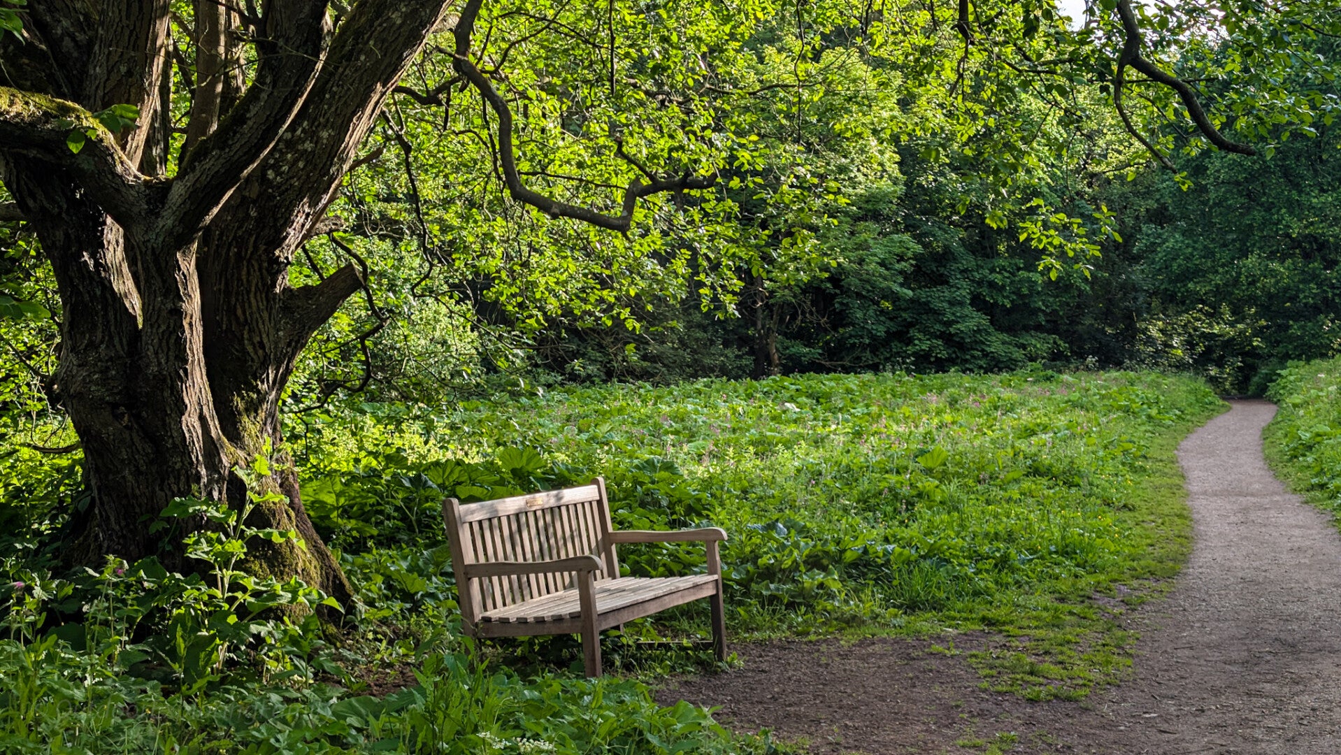 https://www.outdoorexploringfamily.com/discover-teesdale/discover-teesdale-walks-and-hiking-routes