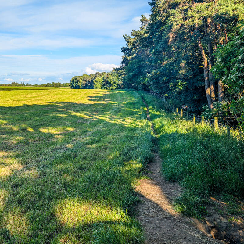 Peaceful footpath along the woodland edge at Marwood Chase near Barnard Castle.