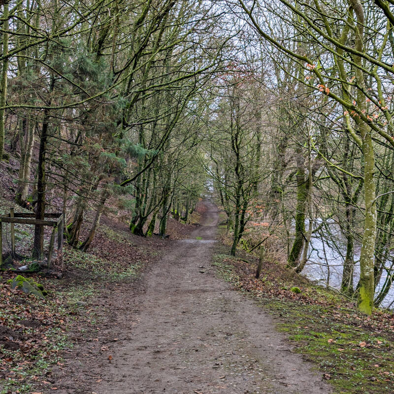 Woodland path beside the River Greta on the walk between Mill Force and Gilmonby Bridge