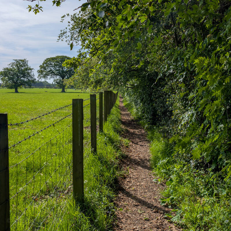 Woodland path between open fields and Flatts Wood near Barnard Castle