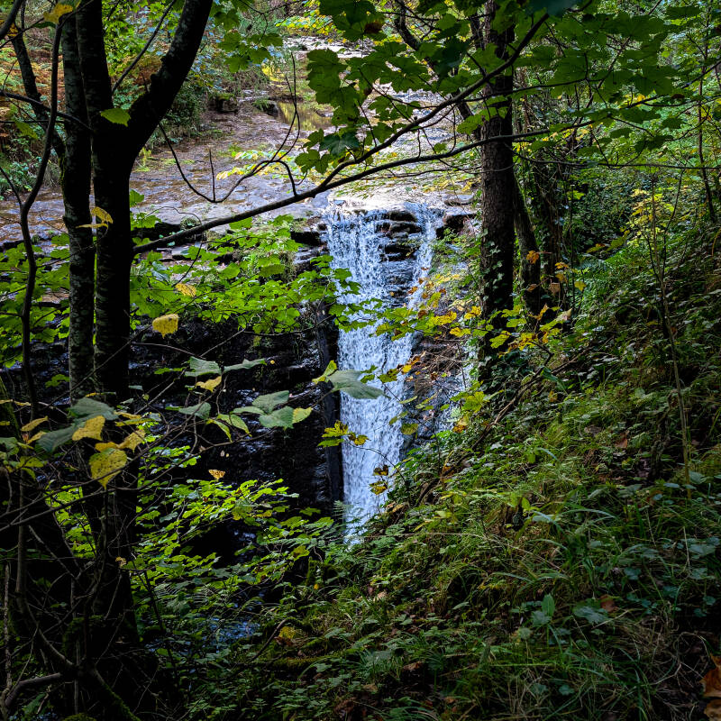 Small seasonal waterfall beside the woodland path through Hudeshope near Middleton-in-Teesdale.