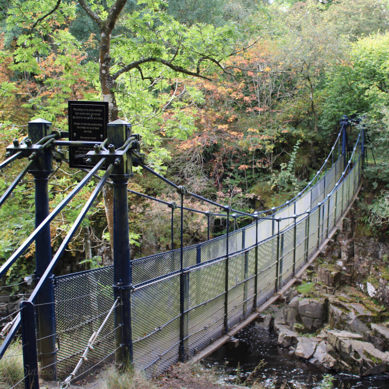 Wynch Bridge suspension bridge crossing the River Tees gorge just downstream from Low Force waterfall in Teesdale