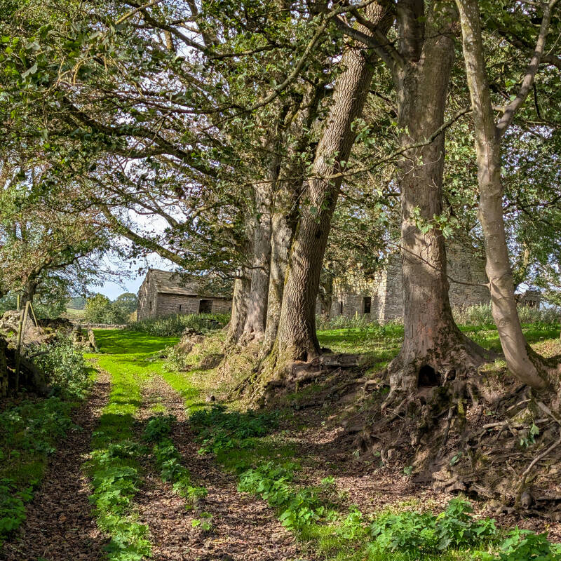Public footpath approaching the ruined buildings of Yew Tree Farm near Hury Reservoir in Baldersdale