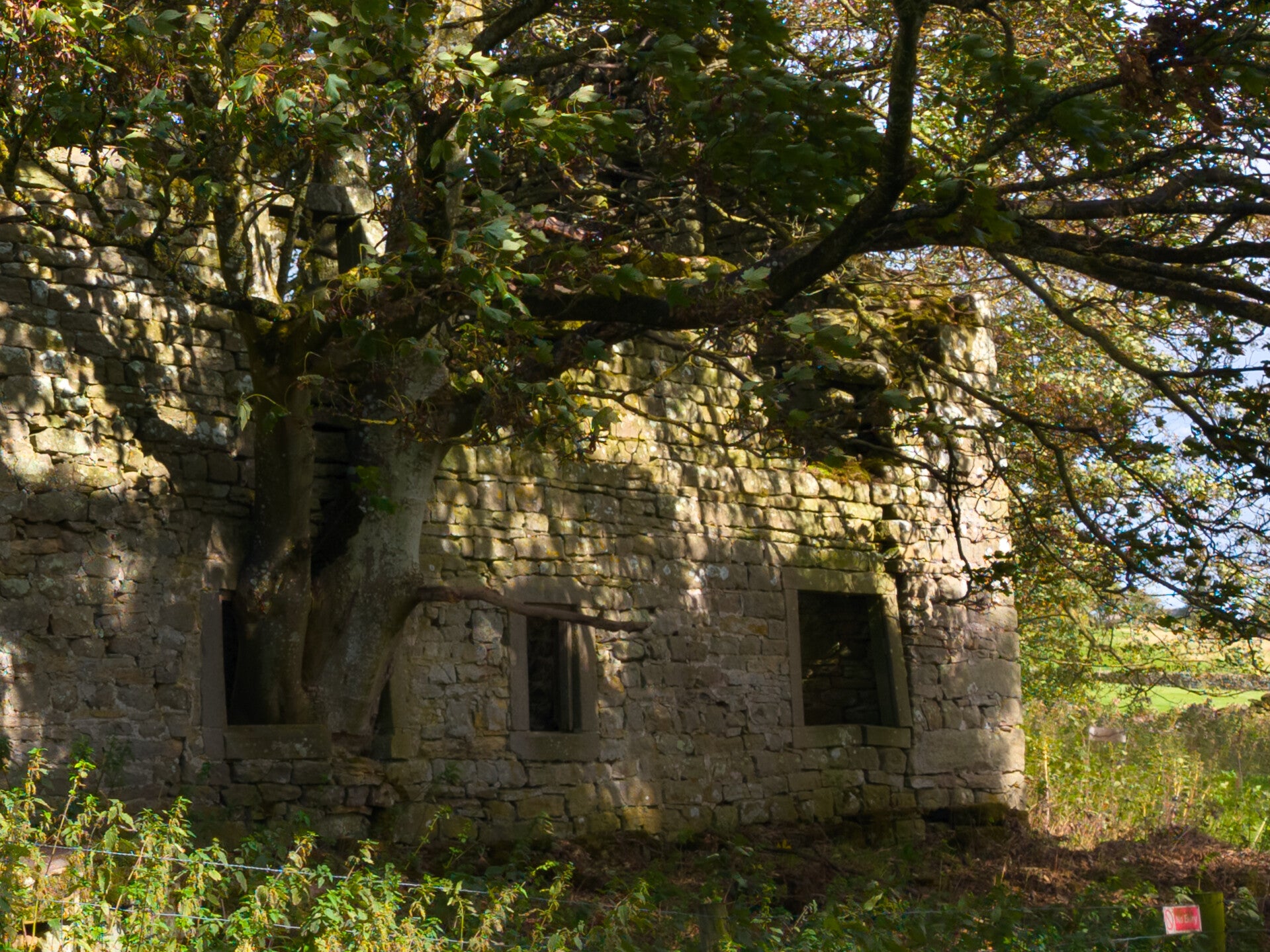 Ruined stone farmhouse at Yew Tree Farm near Hury Reservoir in Baldersdale, Teesdale