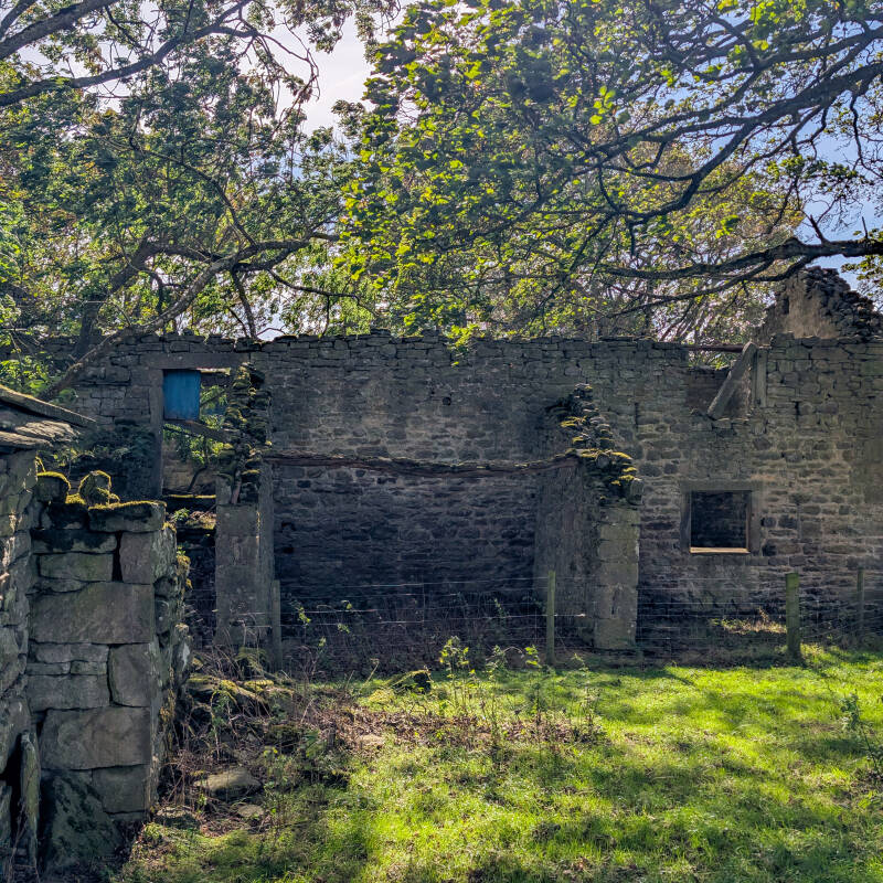 Surviving stone walls and openings of the old Yew Tree farmhouse in Baldersdale