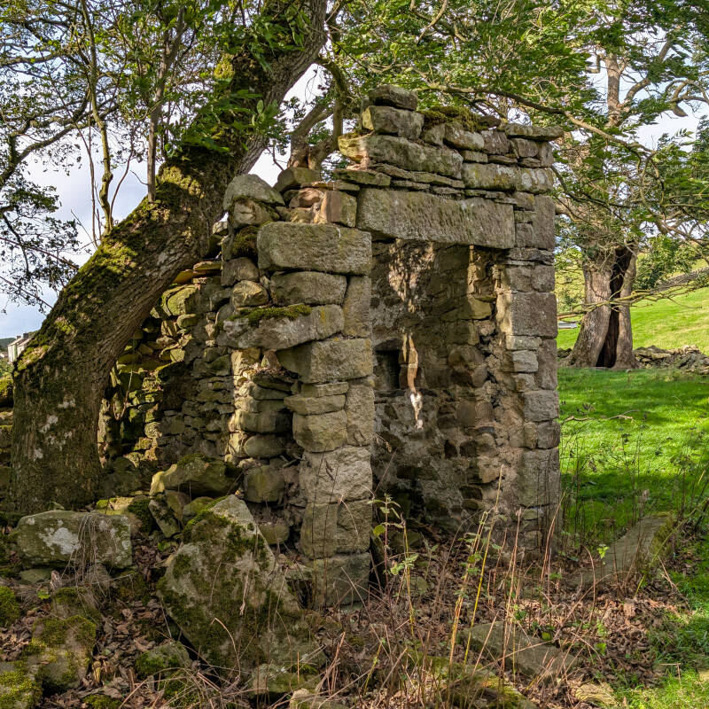 Ruined stone doorway and wall among the trees at Yew Tree Farm near Hury Reservoir