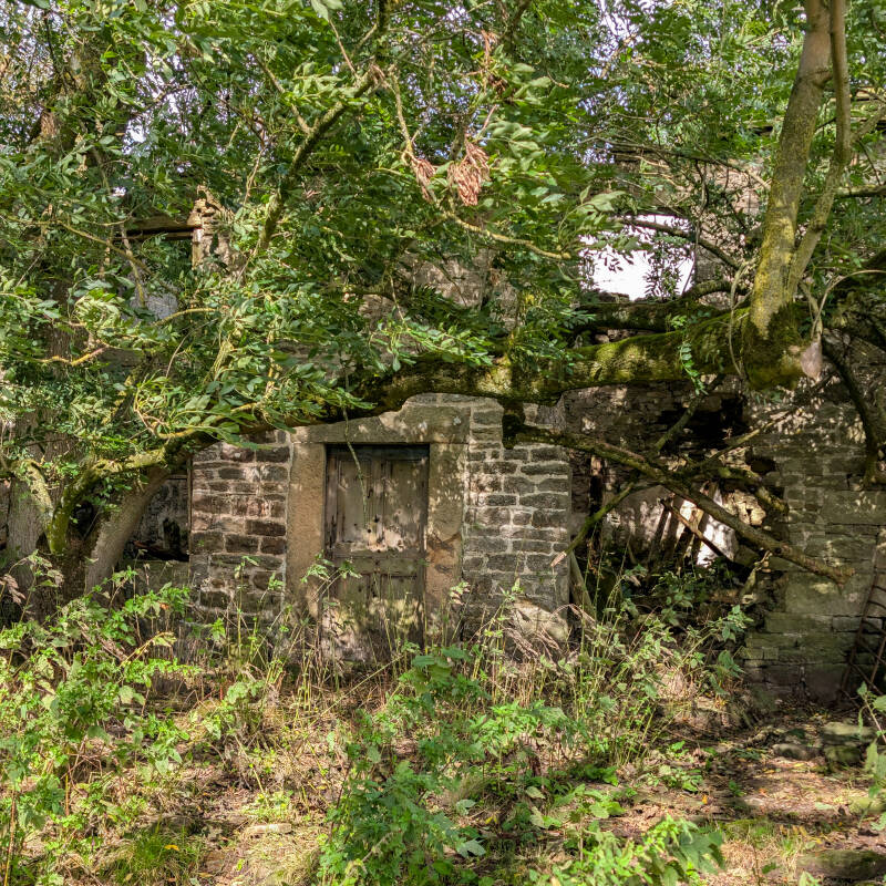 Smaller ruined house east of Yew Tree Farm surrounded by trees and old stone walls near Hury Reservoir
