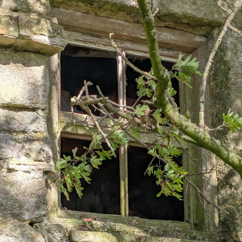 Old sash-style window surviving in the smaller house beside Yew Tree Farm near Hury Reservoir