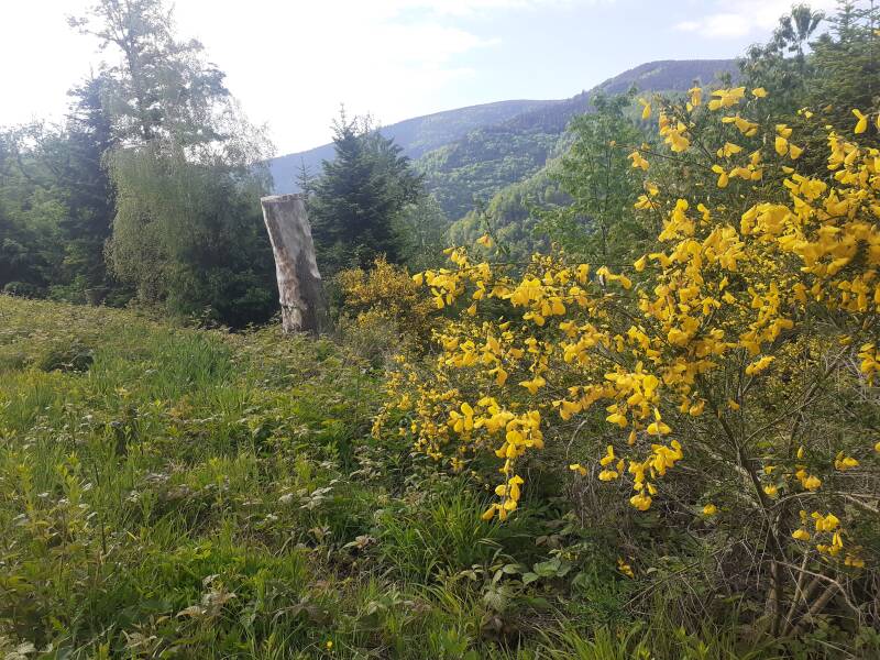 Himmelreich Hällental