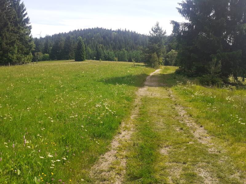 Von Bleibach nach Hornberg