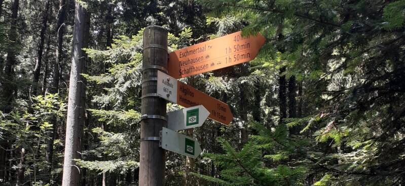 Wegweiser Aaltholz