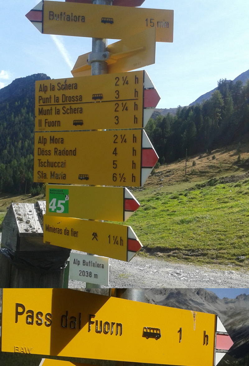 Wegweiser Alp Buffalora