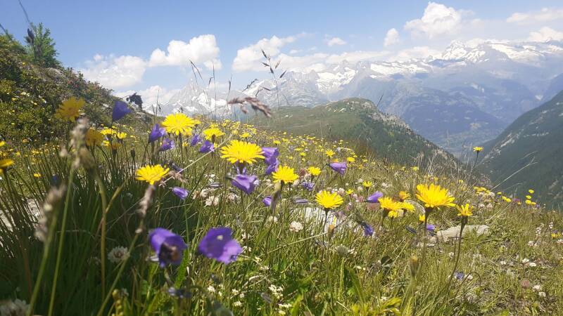 Saas-Antrona-Simplon-Tour, Hüttentour Wallis, Italien
