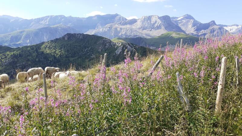 Tagestour Gratwege über dem Simmental