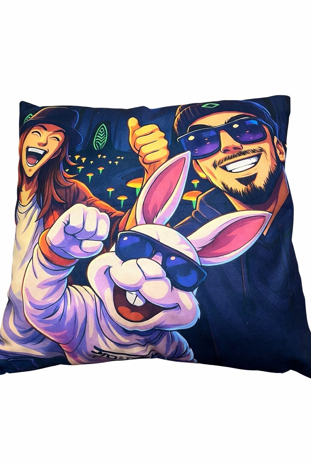 Magnifique coussin/oreiller Menhir