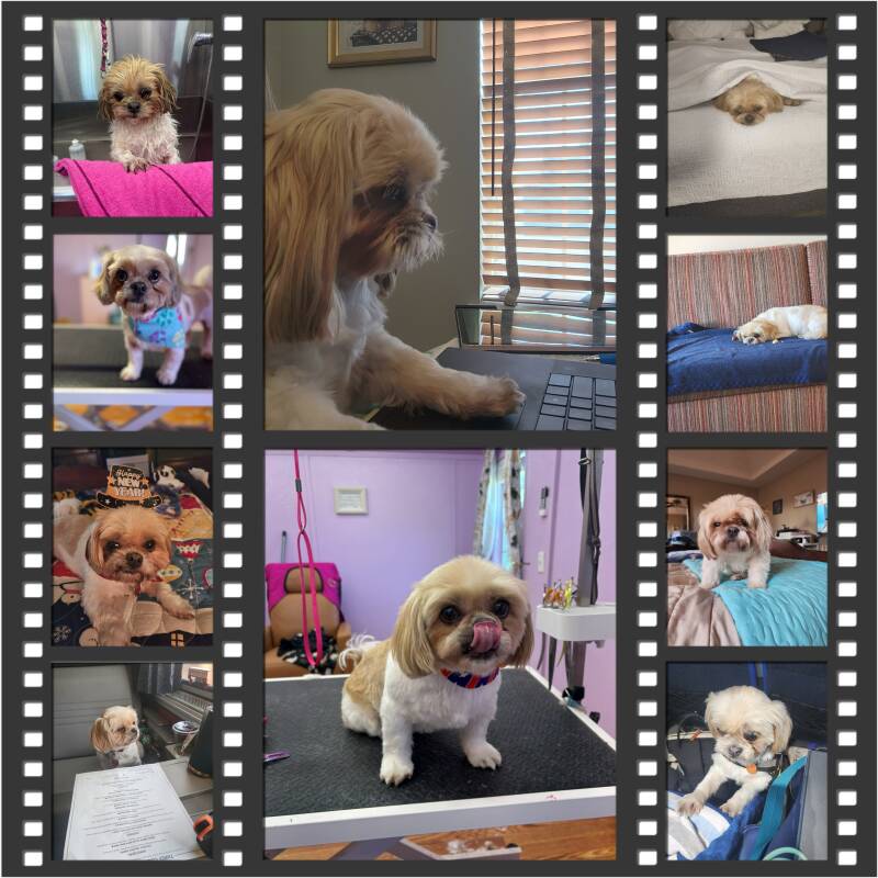 2-baxter-standard.jpg