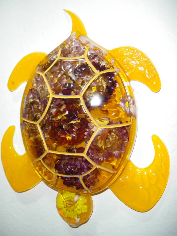 Tortue
