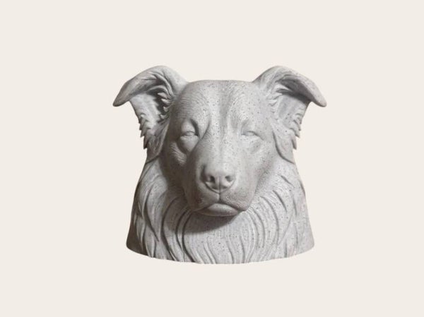 Herdenkingsbeeldje Border Collie Buste met Urn – Always Loved, Forever Missed