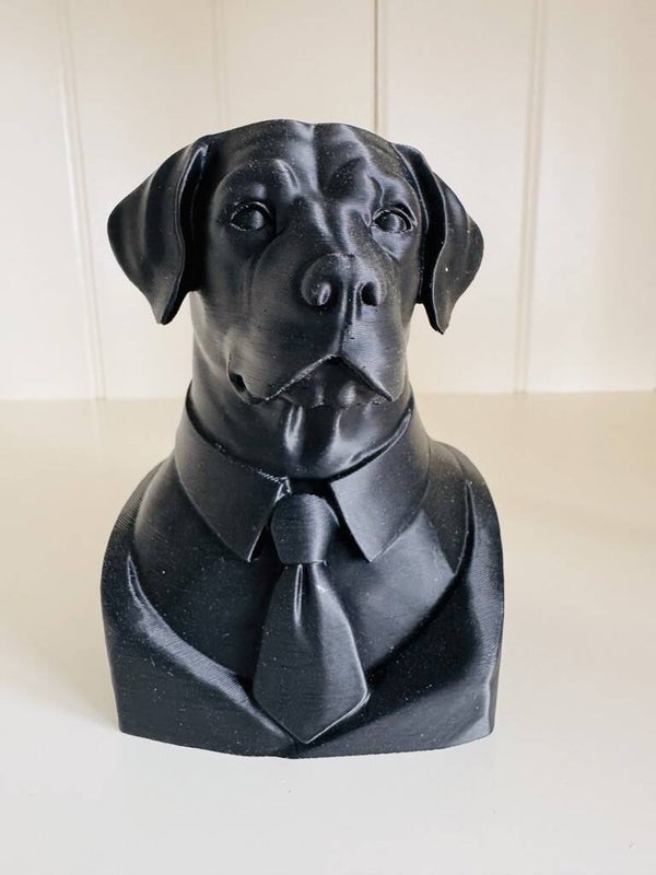 🐾 Buste Labrador
