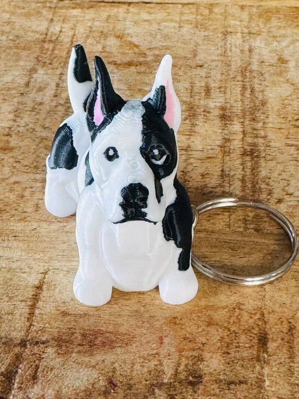 Deense Dog Sleutelhanger – Elegant, Groot & Trouw | RoCo Presents