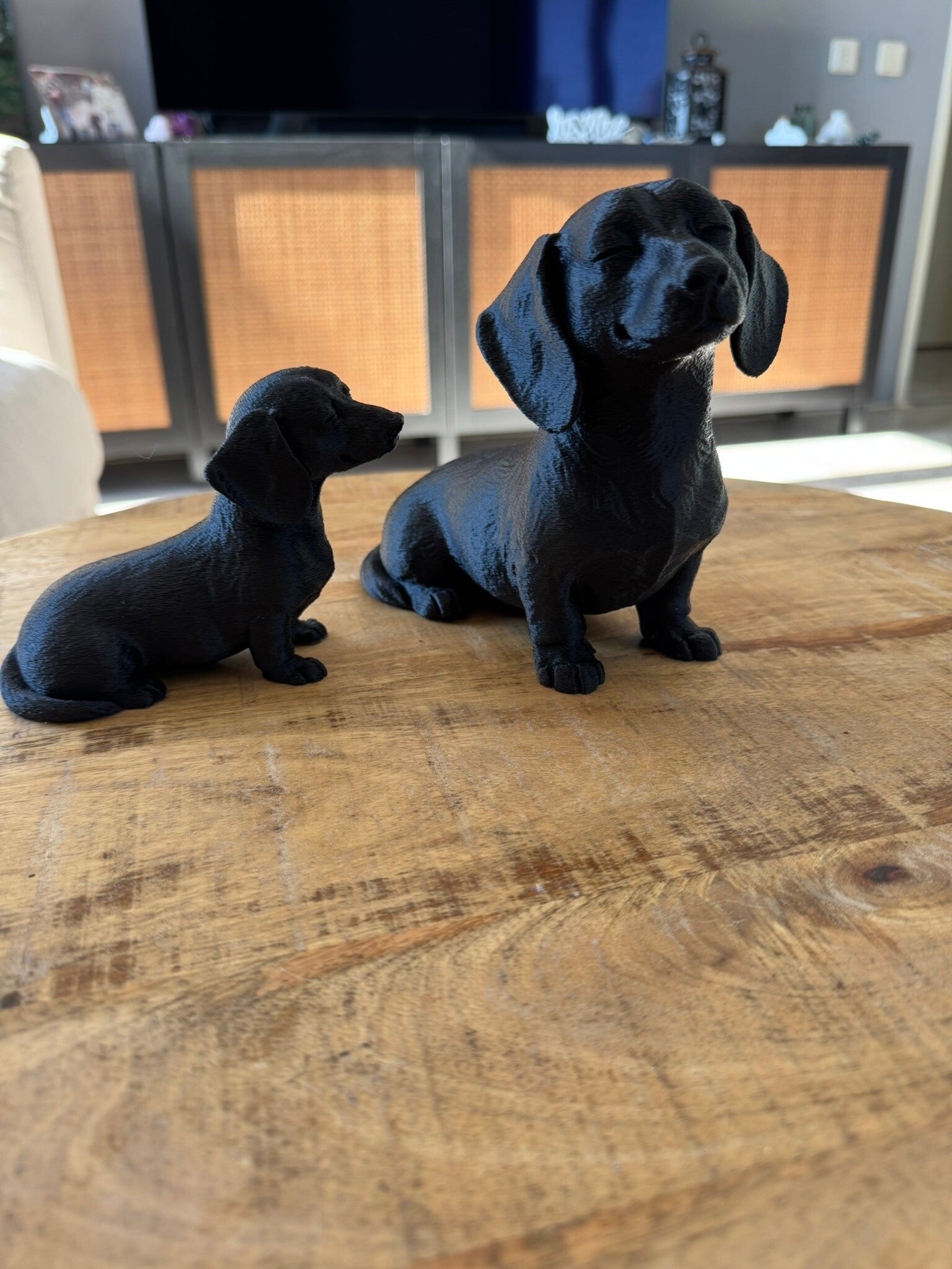 🐾 3D Beeld – Tekkel