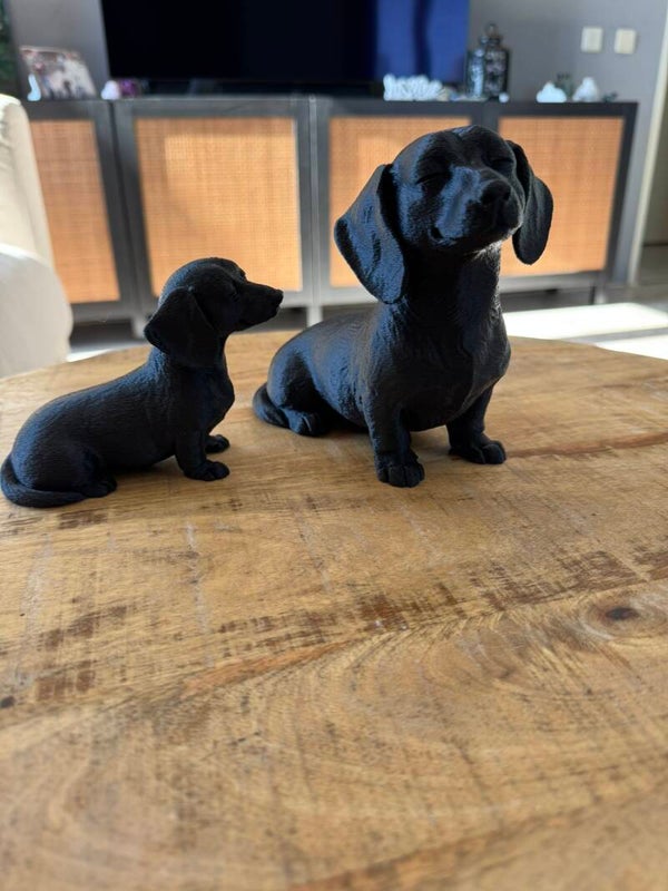 🐾  Beeld – Tekkel