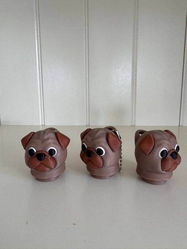 Clicker stoere hond
