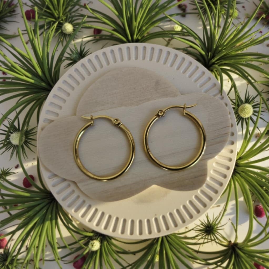 créoles rondes lisses 2,50 cm