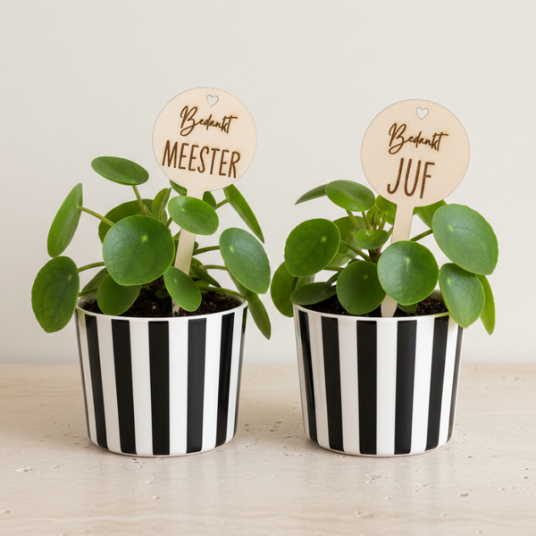 Gepersonaliseerde plantensteker | Cadeau voor juf & meester