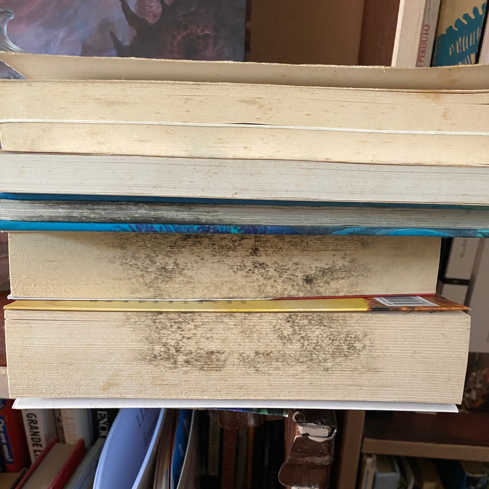 libri muffa, umidità