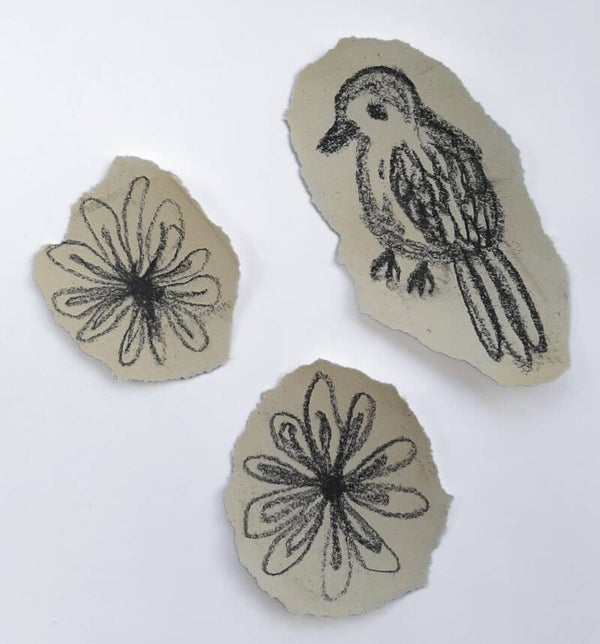 Naturel vogel bloem 4