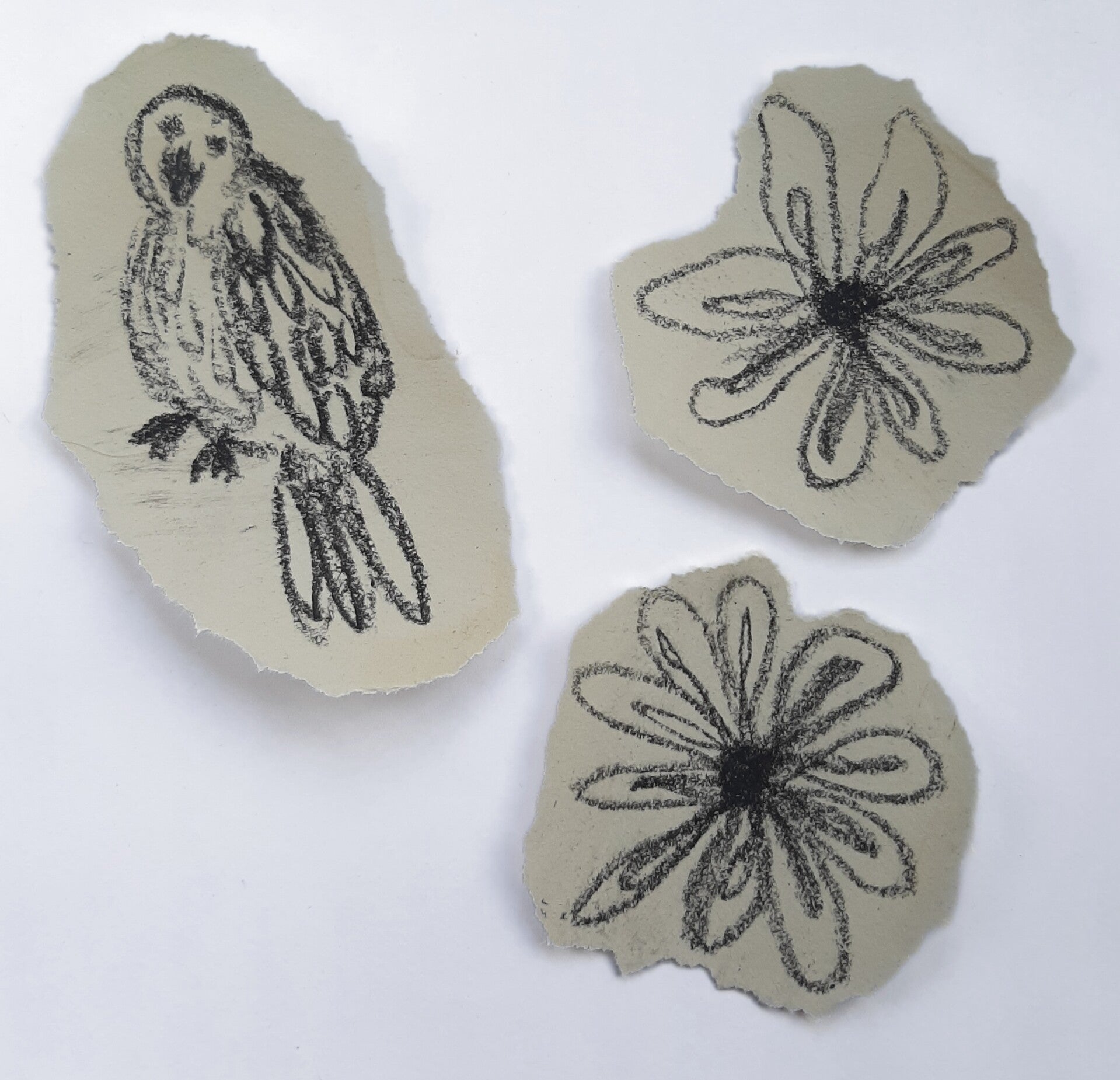 Naturel vogel bloem 5
