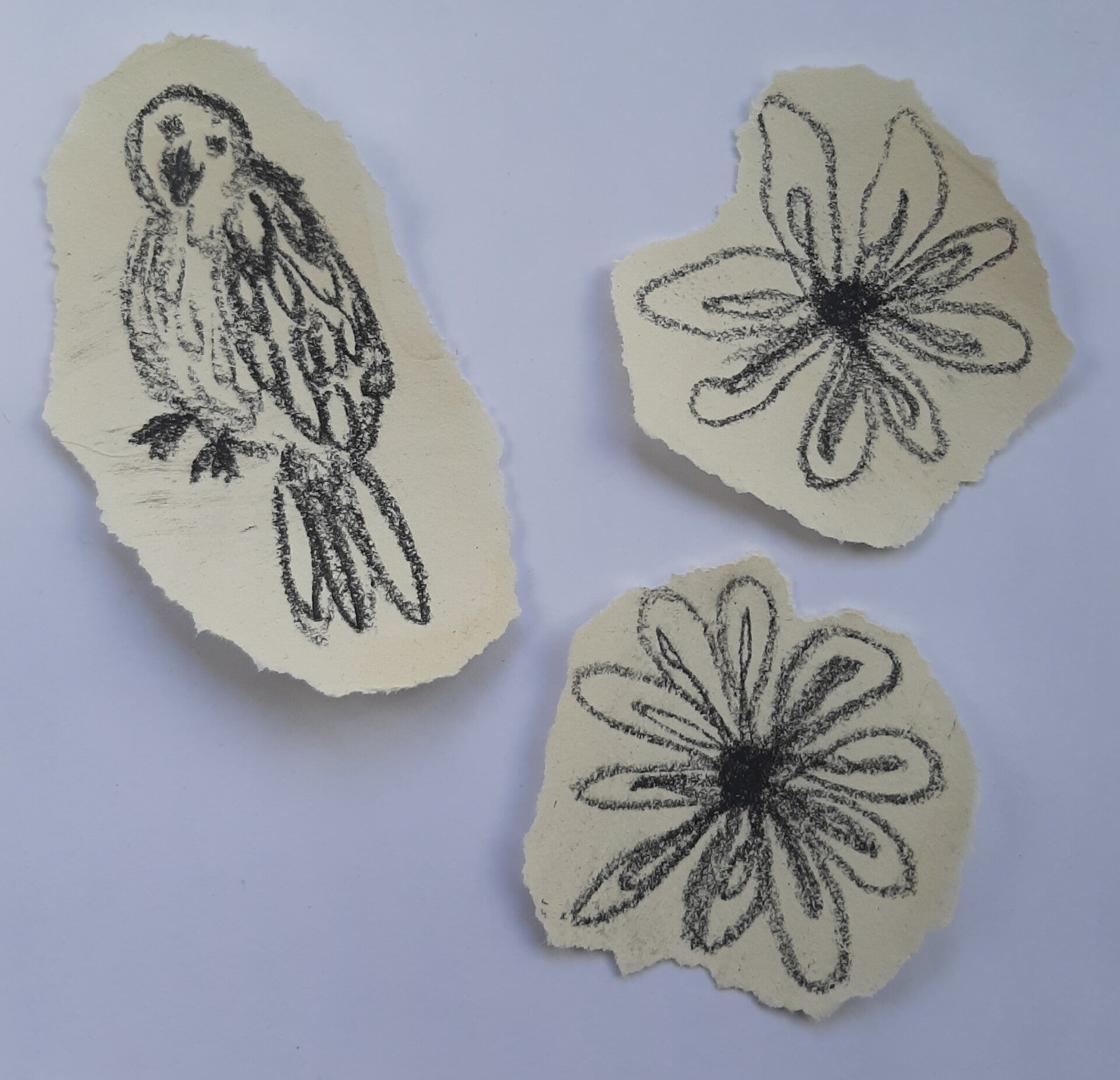 Naturel vogel bloem 5