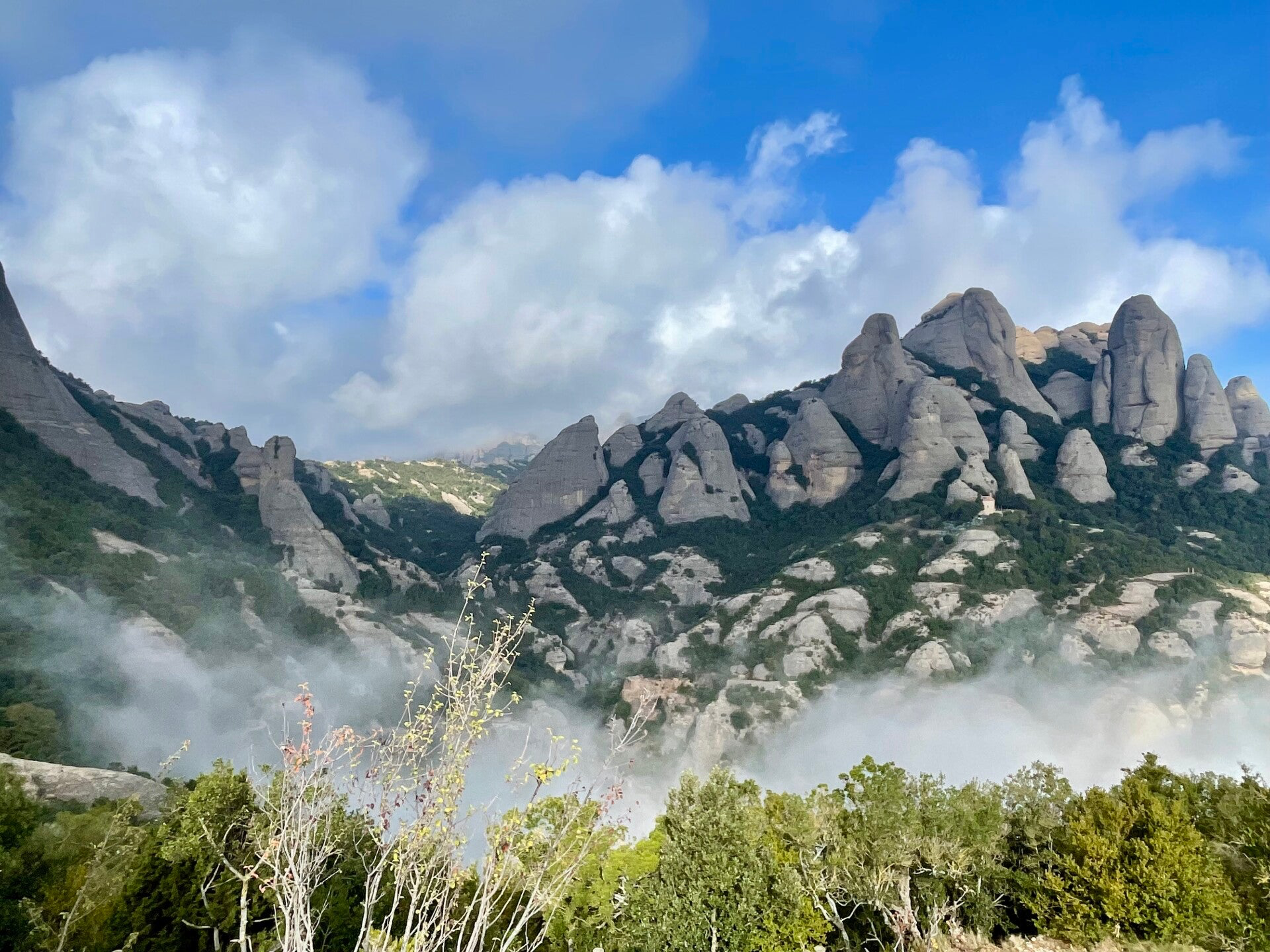 Montserrat Sant Benet