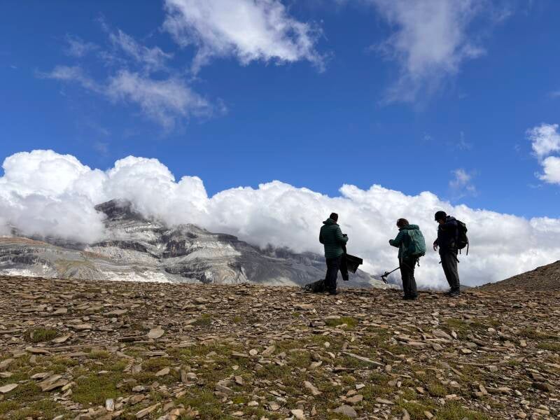Tour de los Perdidos