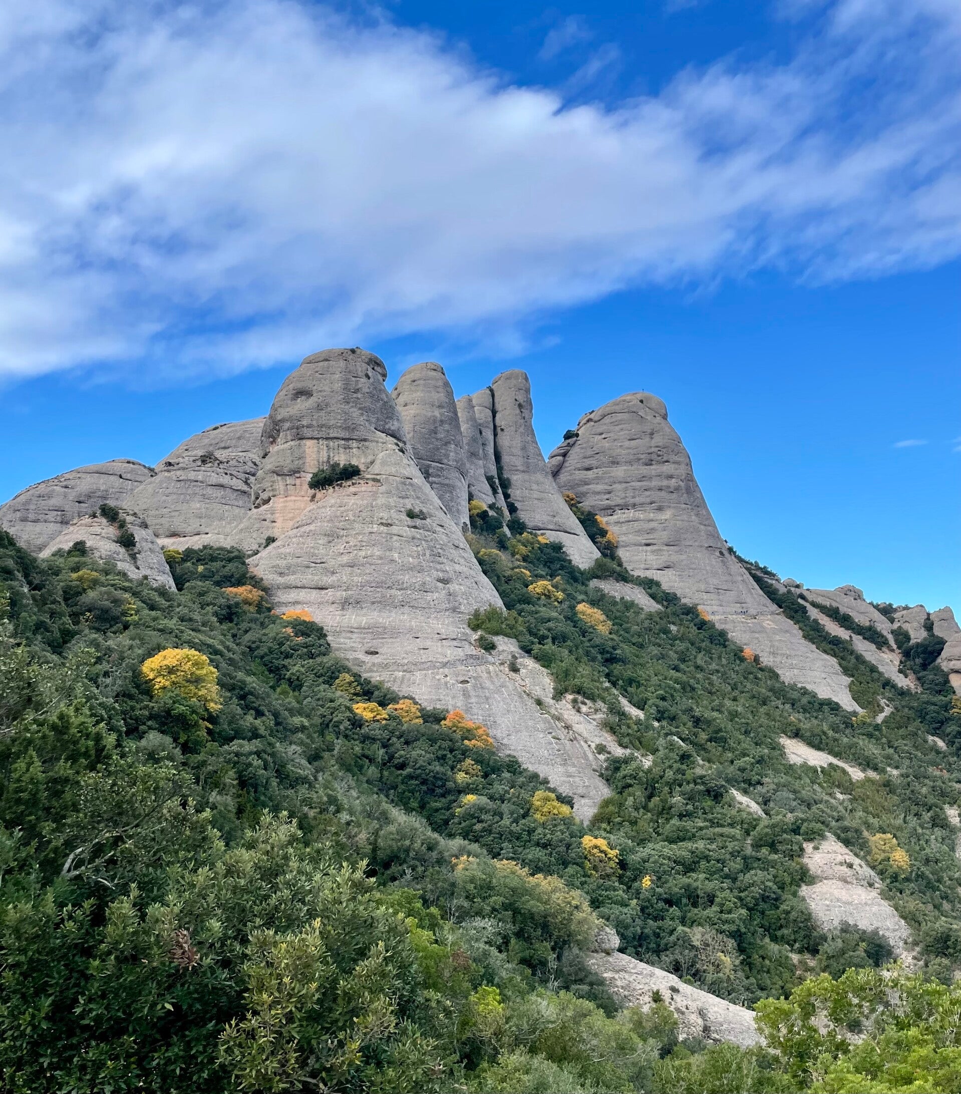 Gorro Frigi Montserrat
