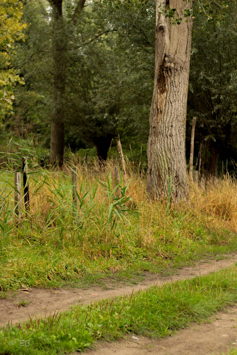 op wandeltoch met kinderen, samen ontdekken