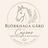 Björkhaga Gård – Cajsas Hästrehab &amp; Wellness