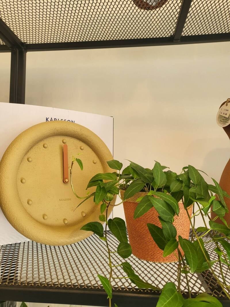 Déco horloge plante lierre cache-pot