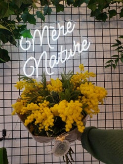 Bouquet Mimosa MèreNature