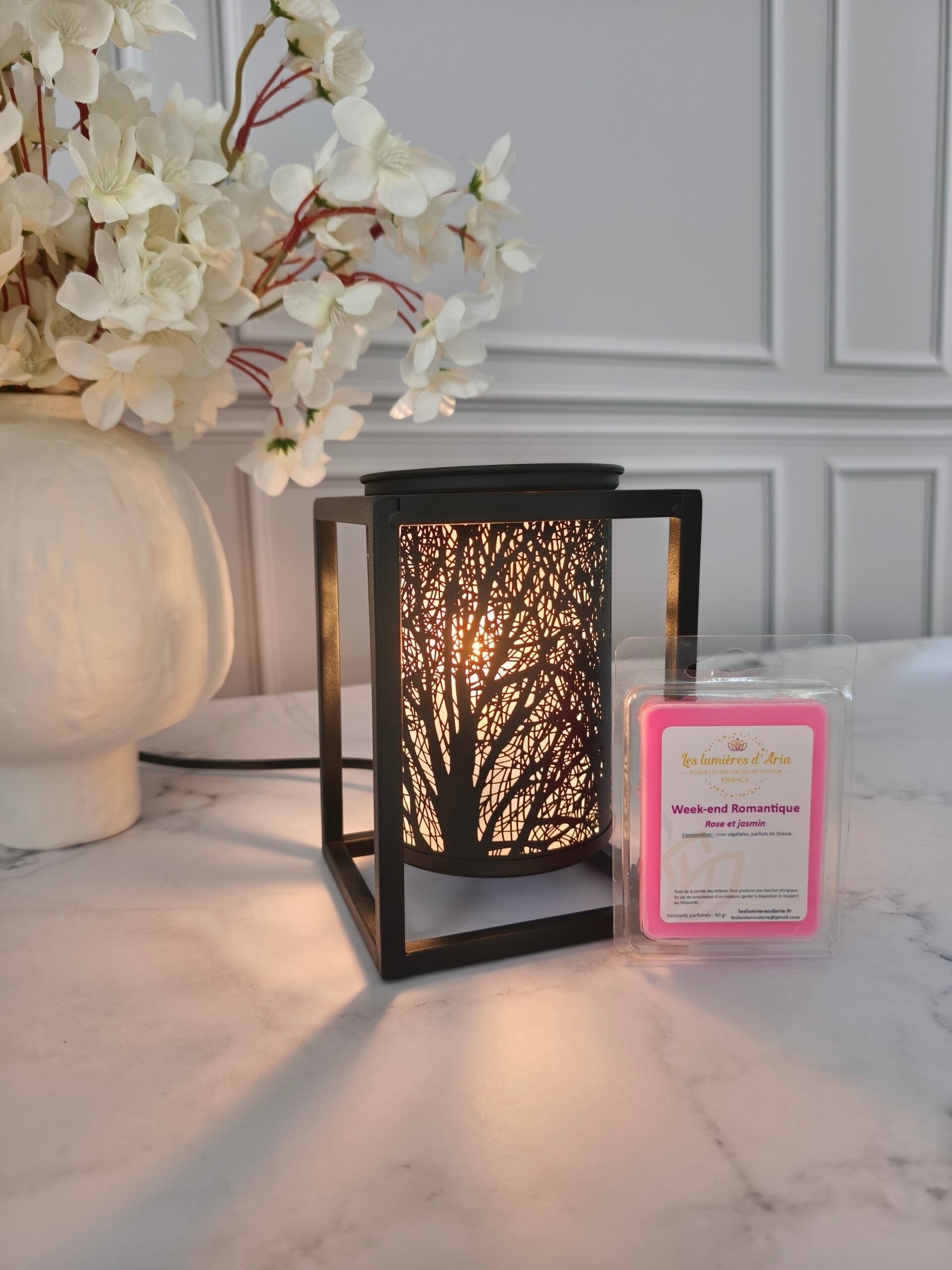 Brûleur électrique avec fondants