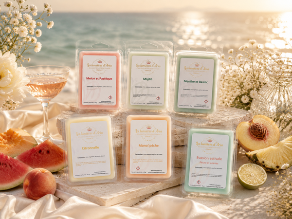 ⭐ Lot de fondants parfumés (x4 au choix) – Offre 3 + 1 offert – Les lumières d’Aria