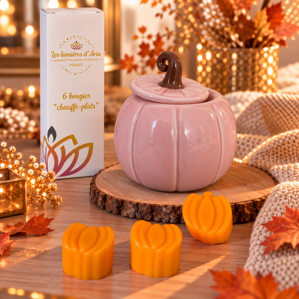 Pack Brûleur Citrouille Rose – Collection Automne & Halloween | Les Lumières d’Aria