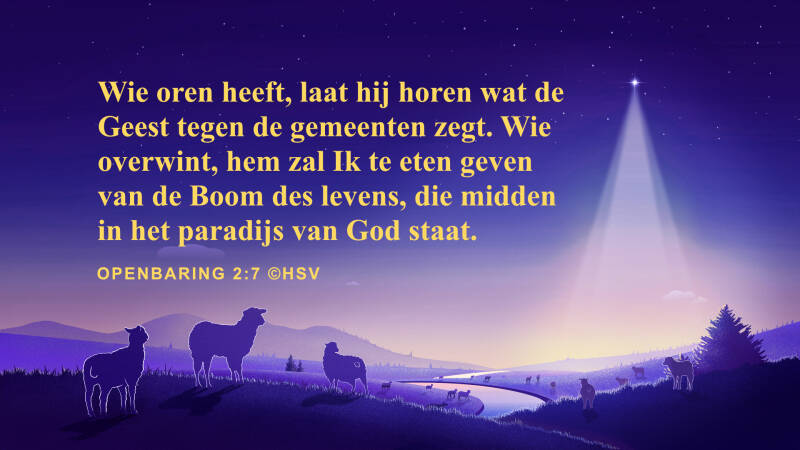 Bijbeltekst plaatjes – Wie oren  heeft, laat hij horen wat de Geest  tegen de gemeenten zegt.