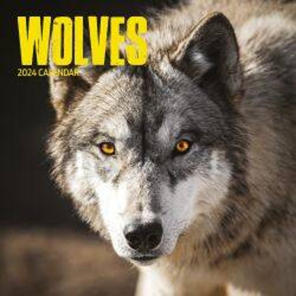 Wolves - Calendar Modern 30x30cm