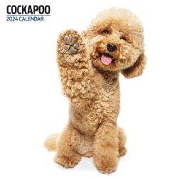 Dog -Cockapoo Calendar Modern 30x30cm