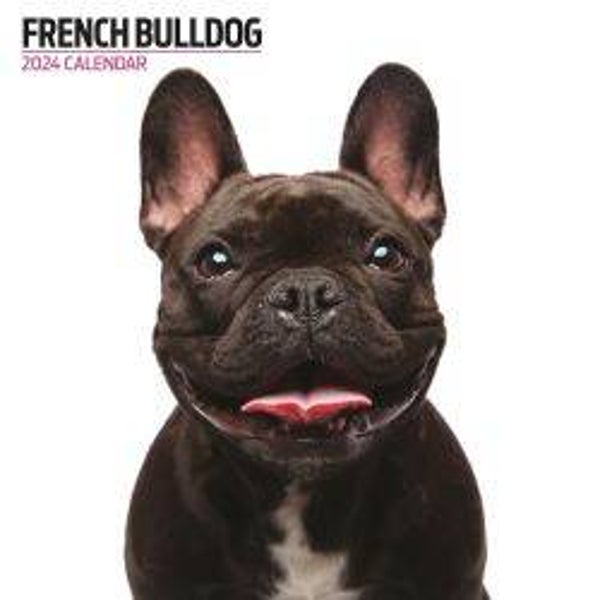 Dog - French Bulldog Calendar 30x30cm